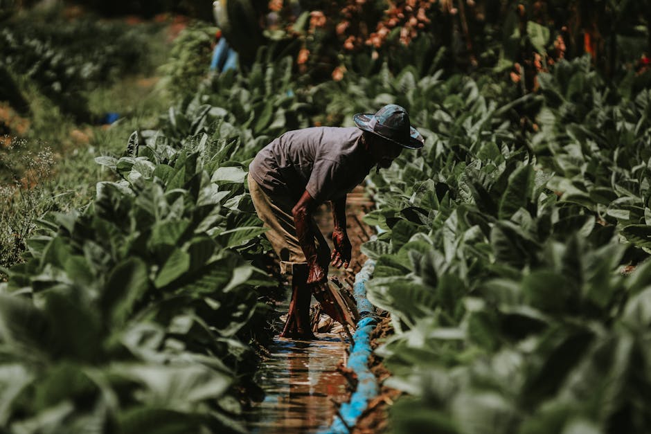 You are currently viewing Practical Time Management Methods Wisdom for Everyday Life